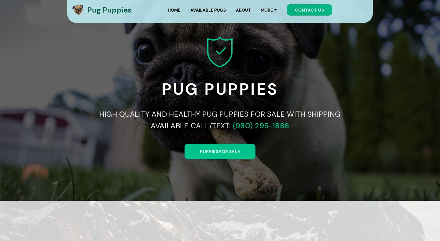 Lakeviewpugs.com - Pug Puppy Scam Review