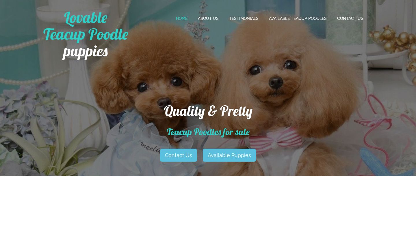 Lovableteacuppoodlepuppies.com - Poodle Puppy Scam Review