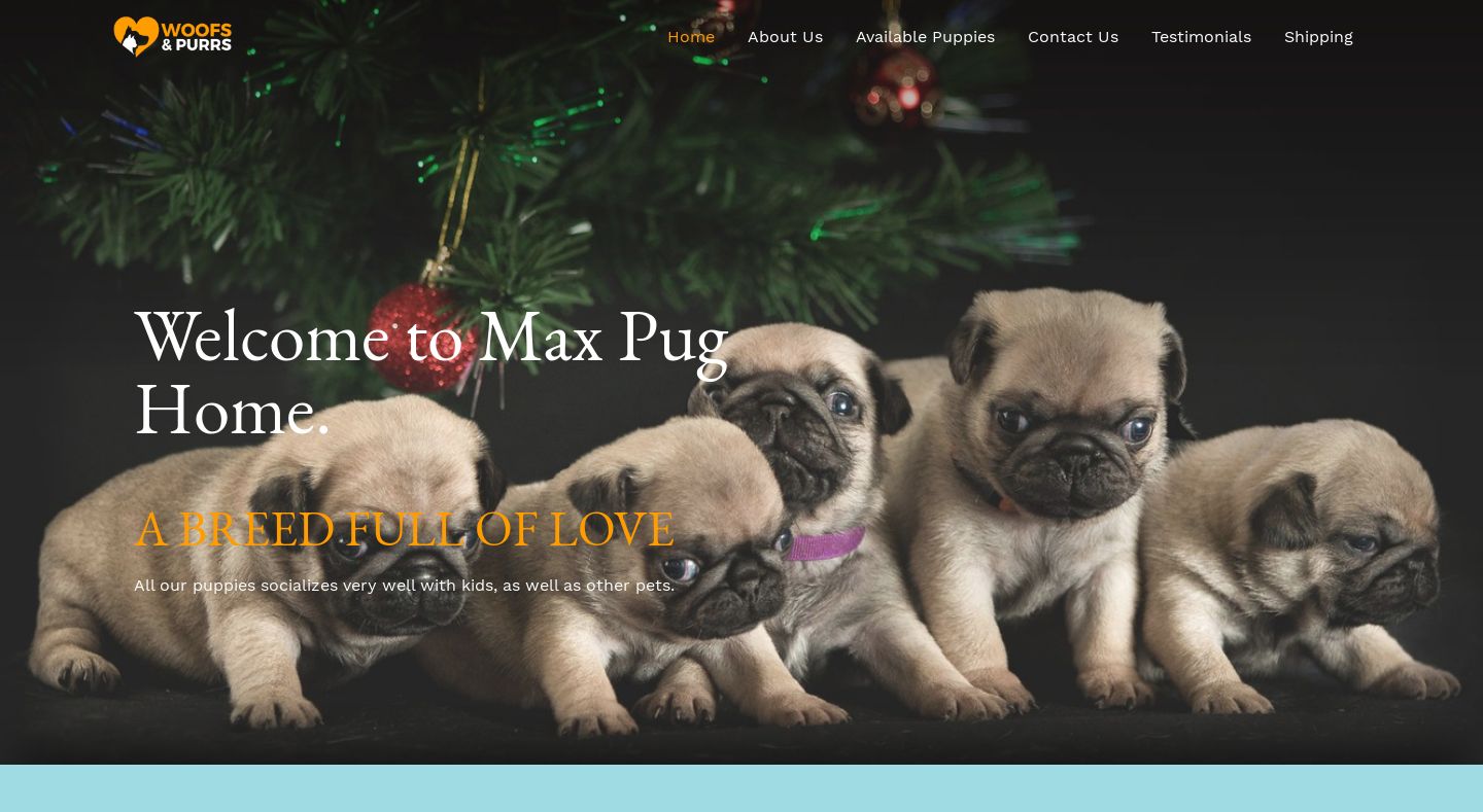 Maxpugpuppieshome.com - Pug Puppy Scam Review