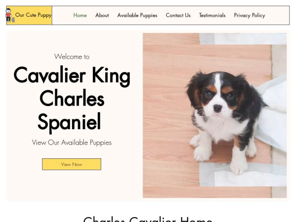 Ourcavalierkingforyou.com - Cavalier King Charles Spaniel Puppy Scam Review