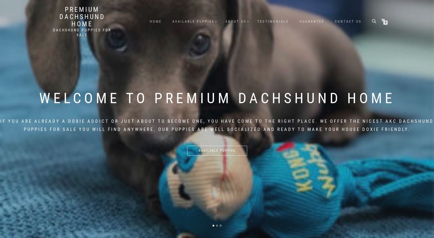 Premiumdachshund.com - Dachshund Puppy Scam Review