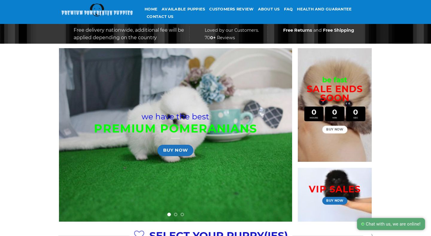 Premiumpomeranianhomepuppies.com - Pomeranian Puppy Scam Review