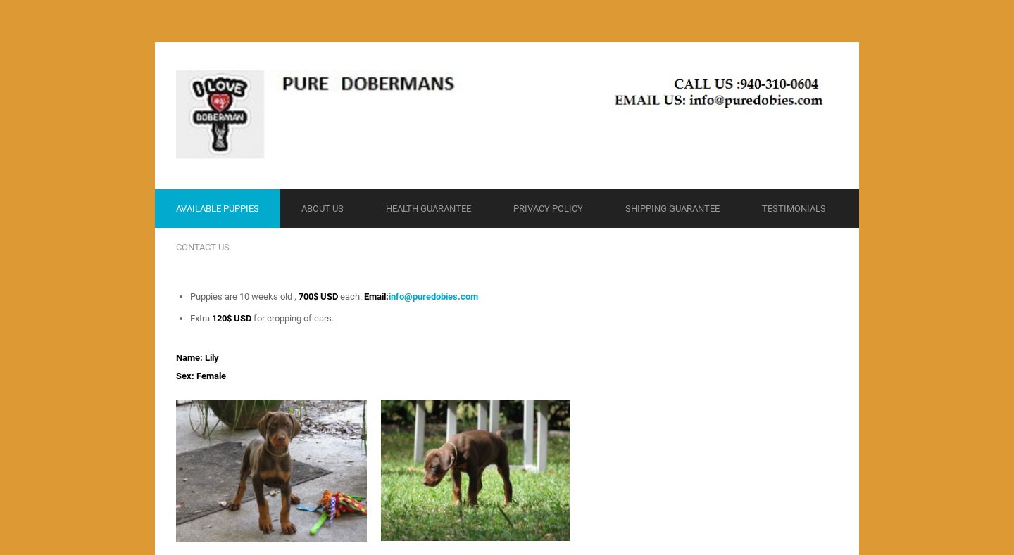 Puredobies.com - Doberman Pinscher Puppy Scam Review