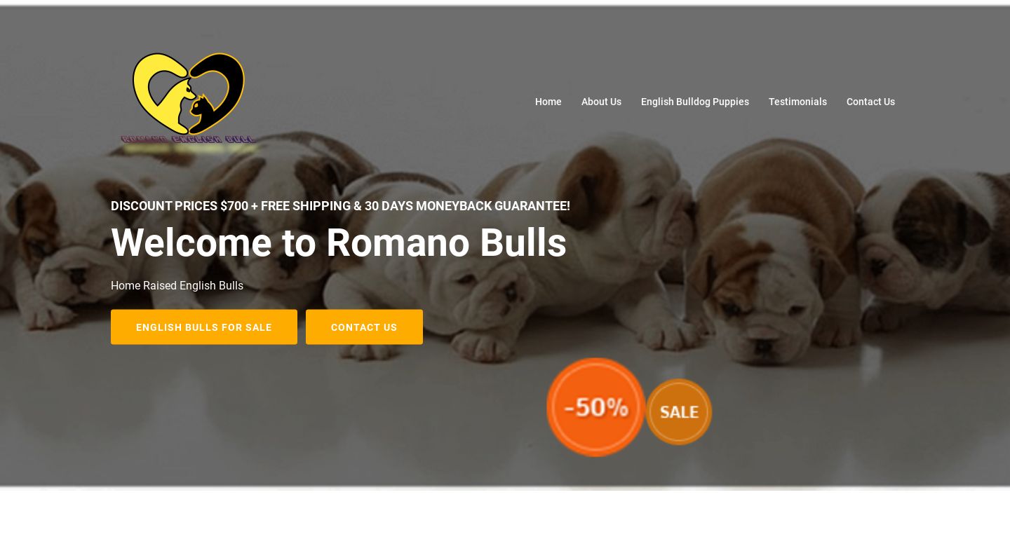 Romanoengbulls.com - English Bulldog Puppy Scam Review