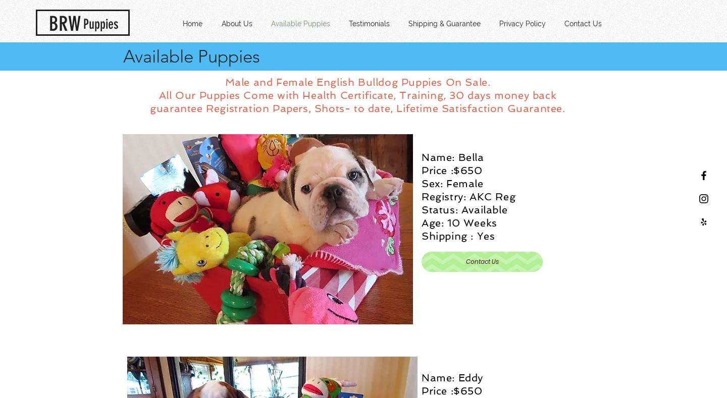 Royalpuppiesforme.com - English Bulldog Puppy Scam Review