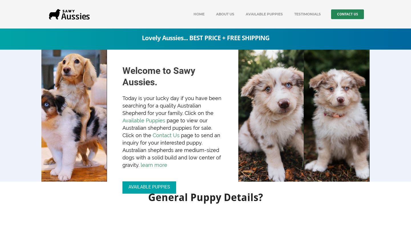 Sawyaussies.com - Australian Shepherd Puppy Scam Review