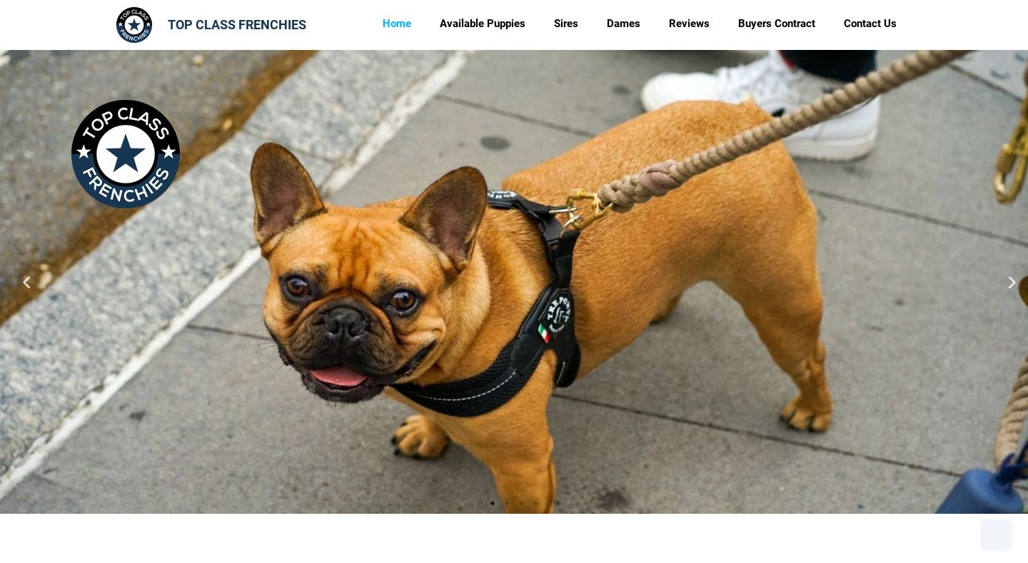 Topclassfrenchies.com - French Bulldog Puppy Scam Review