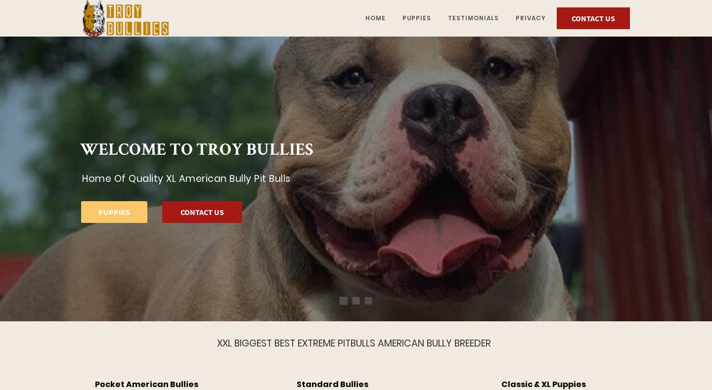 Troysukcbullies.com - English Bulldog Puppy Scam Review