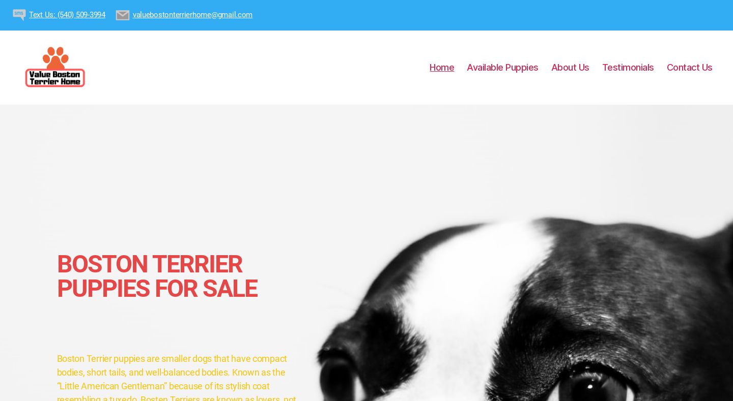 Valuebostonterrierhome.com - Boston Terrier Puppy Scam Review