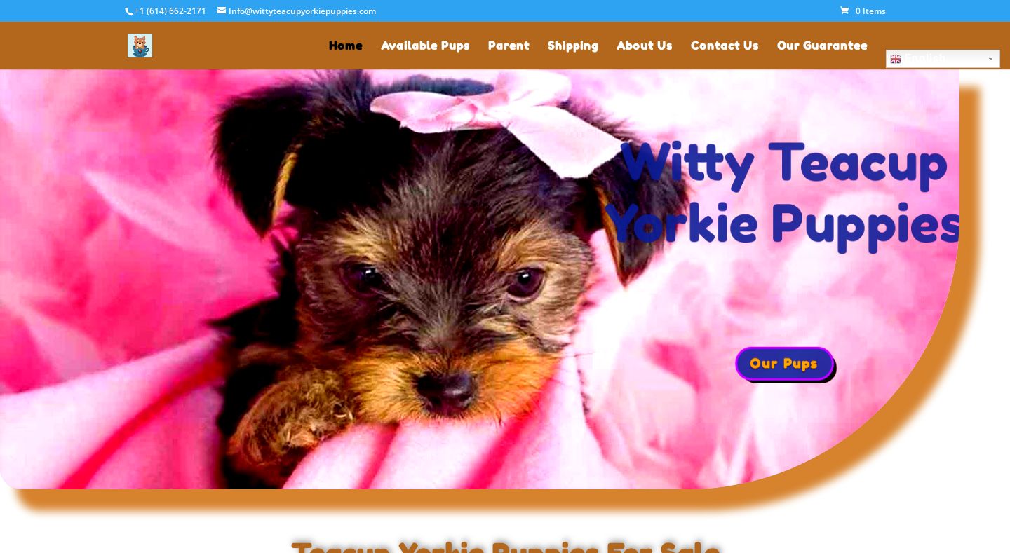 Wittyteacupyorkiepuppies.com - Yorkshire Terrier Puppy Scam Review