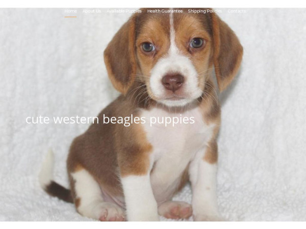 4sweethomes.com - Beagle Puppy Scam Review