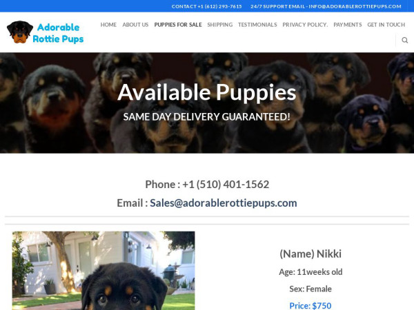 Adorablerottiepups.com - Rottweiler Puppy Scam Review