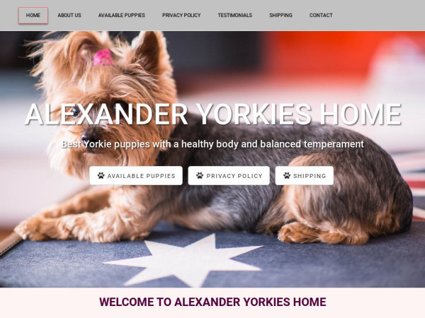 Alexanderyorkieshome.com - Yorkshire Terrier Puppy Scam Review