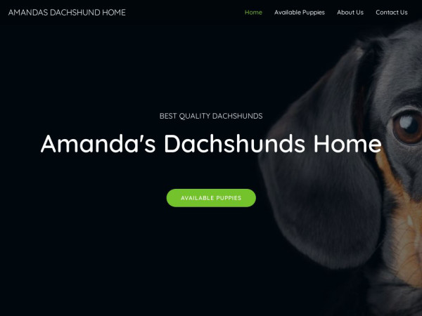 Amandadachshundhome.com - Dachshund Puppy Scam Review