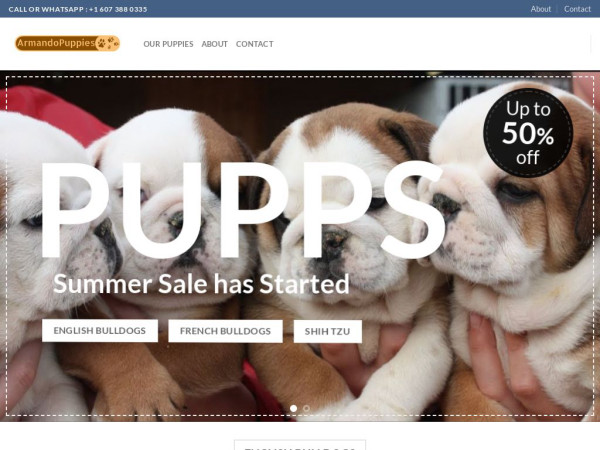 Armandopuppiesforsale.com - English Bulldog Puppy Scam Review