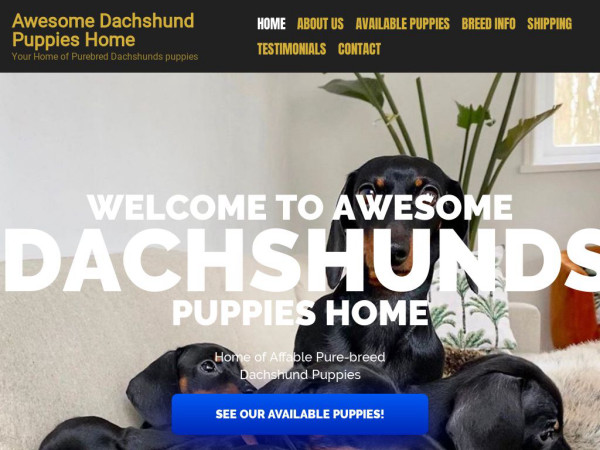 Awesomedachshundpuppieshome.com - Dachshund Puppy Scam Review