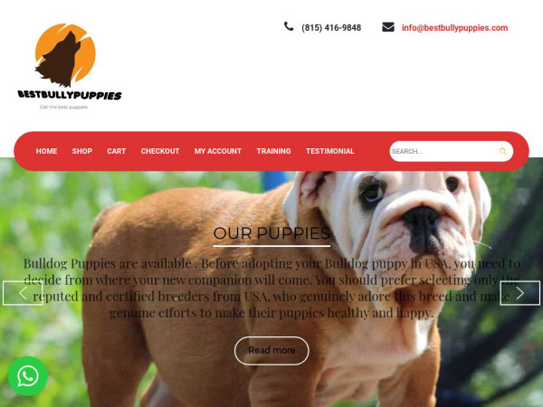 Bestbullypuppies.com - English Bulldog Puppy Scam Review