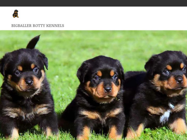 Bigballerkennel.com - Rottweiler Puppy Scam Review