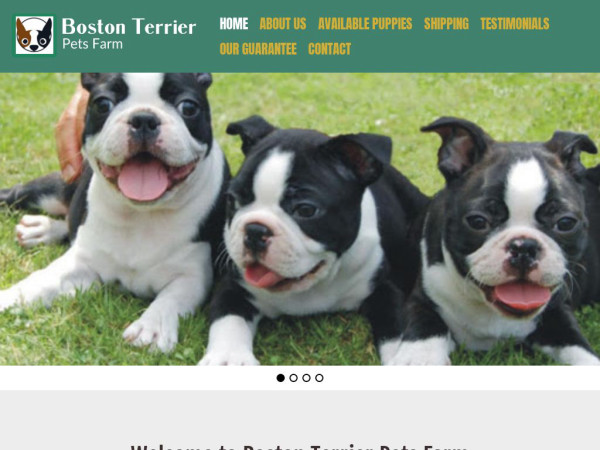 Bostonterrierpetsfarm.com - Boston Terrier Puppy Scam Review