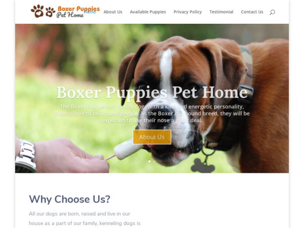 Boxerpuppiespethome.com - Boxer Puppy Scam Review