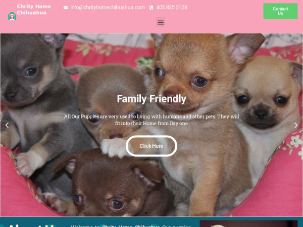 Chrityhomechihuahua.com - Chihuahua Puppy Scam Review