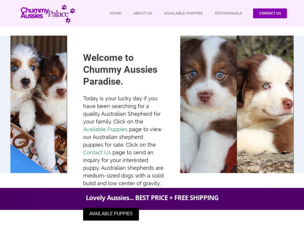 Chummyaussiespalace.com - Australian Shepherd Puppy Scam Review