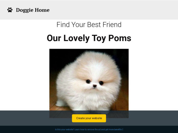 Cindystoypoms.net - Pomeranian Puppy Scam Review