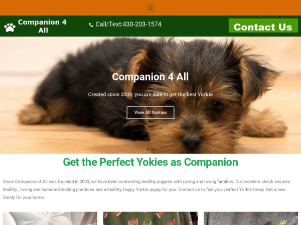 Companion4all.com - Yorkshire Terrier Puppy Scam Review