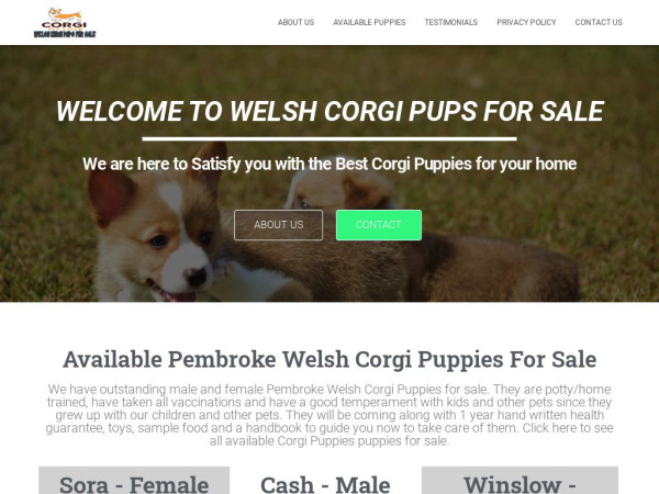 Corgiepupsforsale.com - Corgi Puppy Scam Review