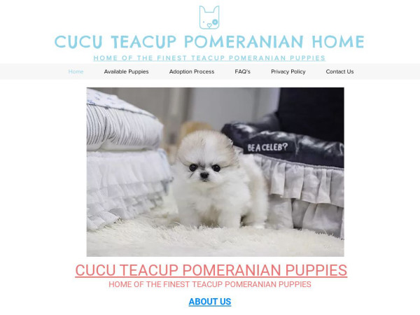 Cucuteacuppomeranianpuppies.com - Pomeranian Puppy Scam Review