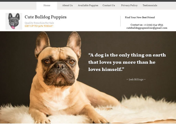 Cutebulldogpupsonline.com - Bulldog Puppy Scam Review