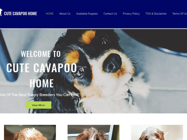 Cutecavapoohome.com - Cavapoo Puppy Scam Review