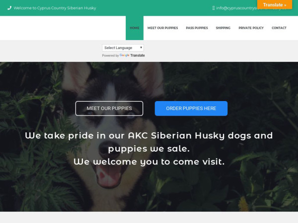 Cypruscountrysiberianhusky.com - Husky Puppy Scam Review