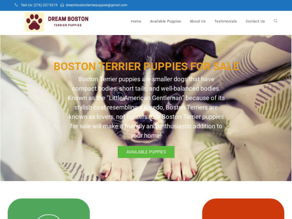 Dreambostonterrierpuppies.com - Boston Terrier Puppy Scam Review