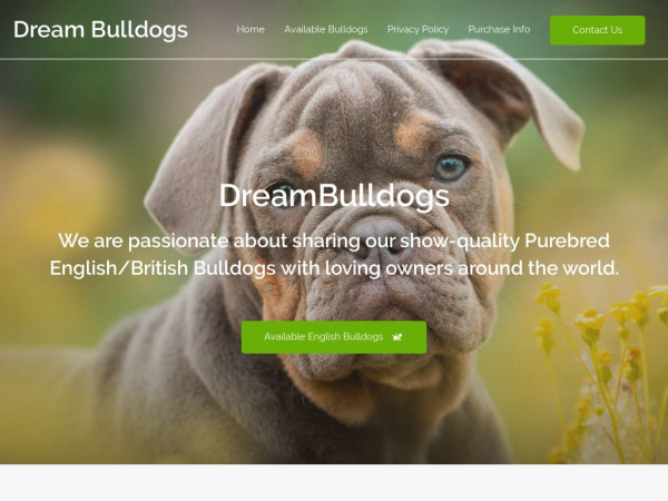 Dreambulldogs.com - English Bulldog Puppy Scam Review