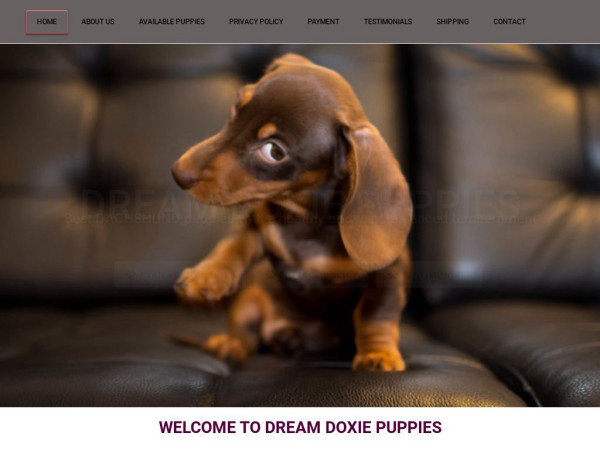 Dreamdoxiepuppies.com - Dachshund Puppy Scam Review