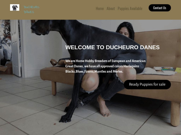 Ducheurodanes.com - Great Dane Puppy Scam Review