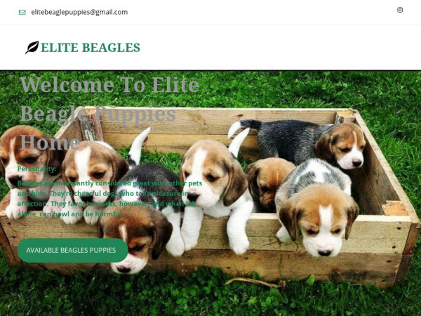 Elitebeaglepuppies.com - Beagle Puppy Scam Review