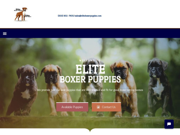 Eliteboxerpuppies.com - Boxer Puppy Scam Review