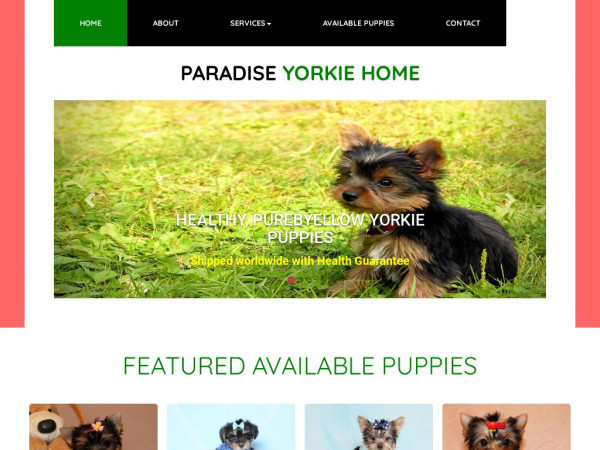 Emmayorkieshome.com - Yorkshire Terrier Puppy Scam Review