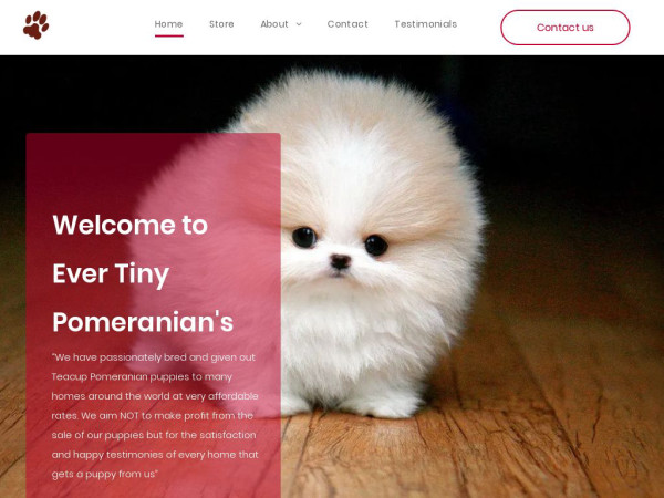 Evertinypomeranians.us - Pomeranian Puppy Scam Review