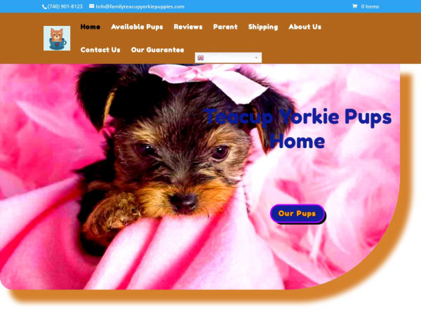 Familyteacupyorkiepuppies.com - Yorkshire Terrier Puppy Scam Review