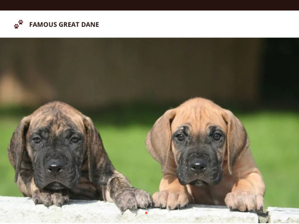 Famousdanes.com - Great Dane Puppy Scam Review