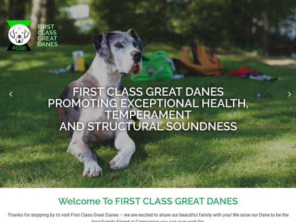 Firstclassgreatdanes.com - Great Dane Puppy Scam Review