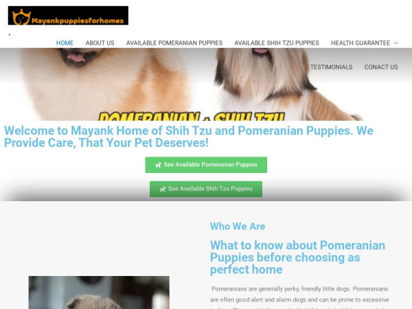 Fuentesnextdoorpuppies.com - Shihtzu Puppy Scam Review