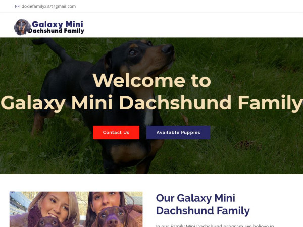 Galaxyminidachshundfamily.com - Dachshund Puppy Scam Review