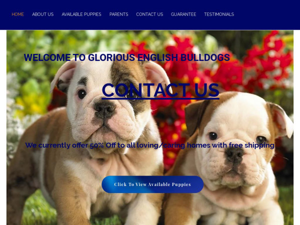 Gloriousenglishbulldog.com - English Bulldog Puppy Scam Review