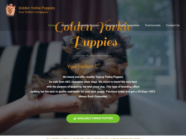 Goldenyorkiepuppies.com - Yorkshire Terrier Puppy Scam Review