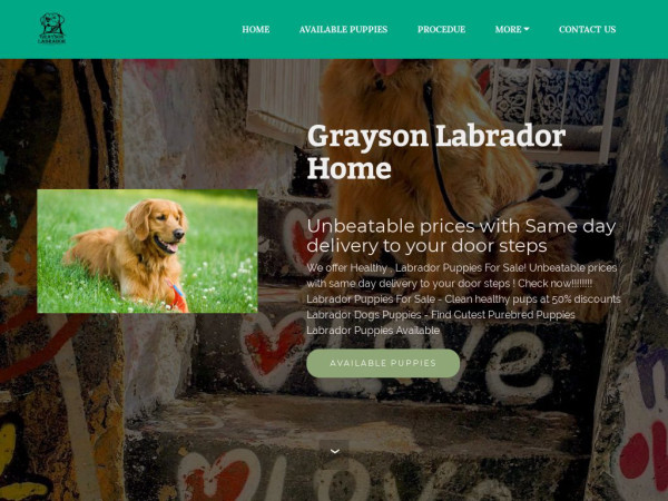 Graysonlabradorhome.com - Labrador Puppy Scam Review