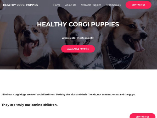 Healthycorgipuppies.com - Corgi Puppy Scam Review